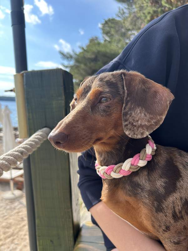 Zula & Cleo mit Family