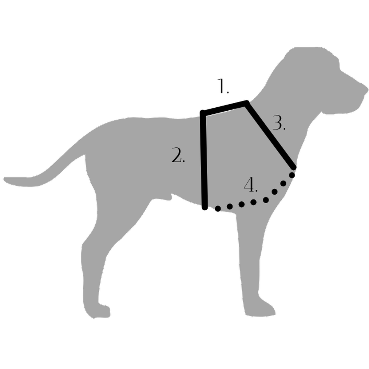 Geschirr Messanleitung