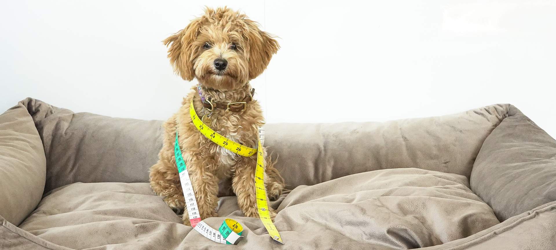 Messanleitung Titelbild